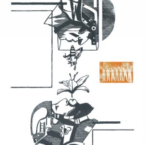 Série utopiste - Les garçons désarmés